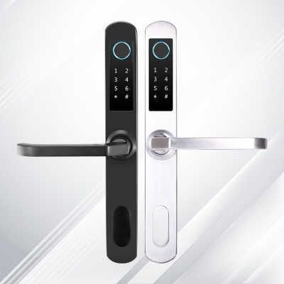 Fingerprint Dook Lock